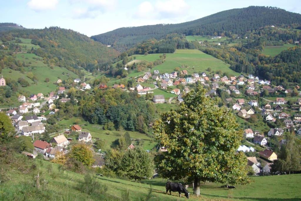 Yourte Des Verts Bois Fréland Zewnętrze zdjęcie