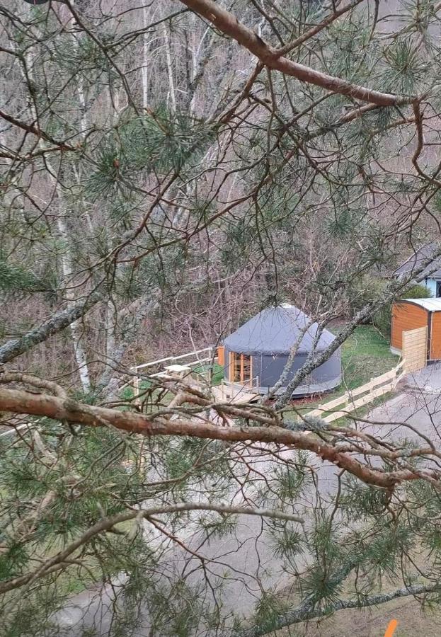 Yourte Des Verts Bois Fréland Zewnętrze zdjęcie